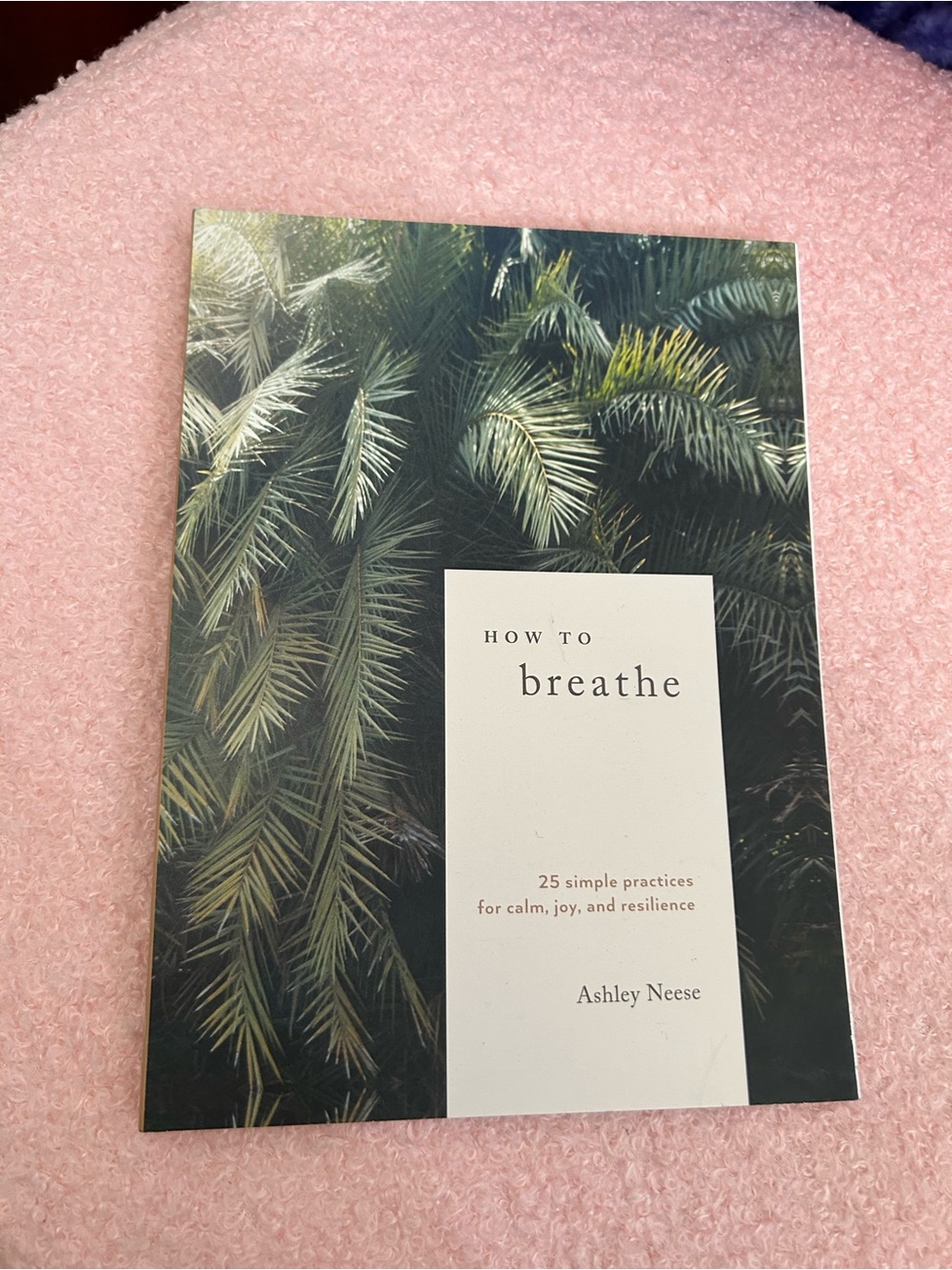 How to Breathe Paperback Book - Green Cover